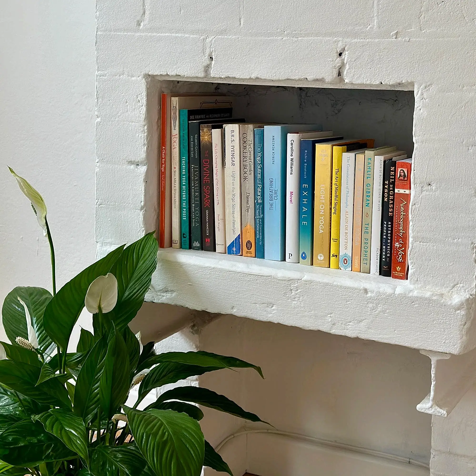 image3